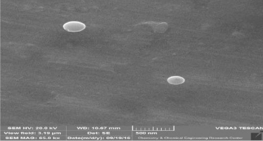 https://cdn.ncbi.nlm.nih.gov/pmc/blobs/5462/6000211/33dfa534d11c/IJBMS-21-517-g002.jpg