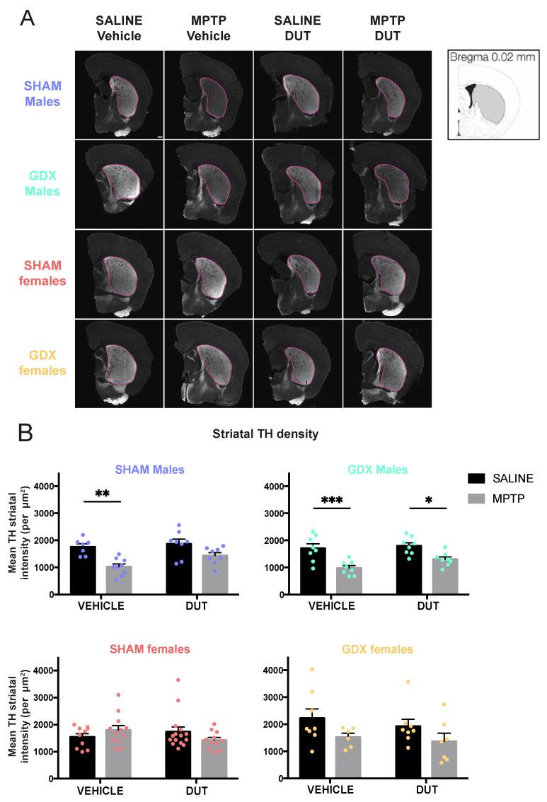 https://cdn.ncbi.nlm.nih.gov/pmc/blobs/5463/9967417/22e23570a48d/pharmaceuticals-16-00152-g001.jpg