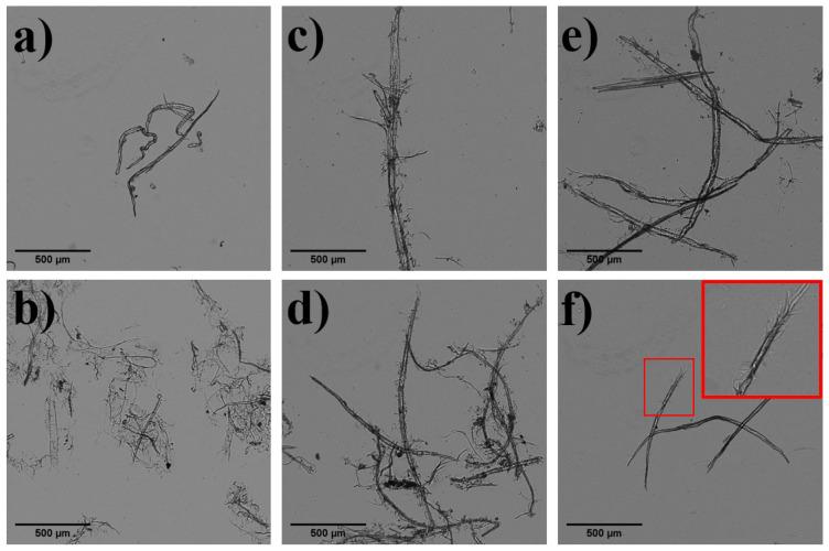 https://cdn.ncbi.nlm.nih.gov/pmc/blobs/5464/10535746/0a1a947d18e0/nanomaterials-13-02536-g002.jpg