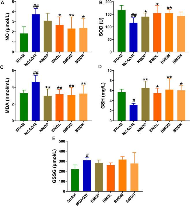 https://cdn.ncbi.nlm.nih.gov/pmc/blobs/5464/9729534/0d6eb3c95b7d/fphar-13-1005301-g002.jpg