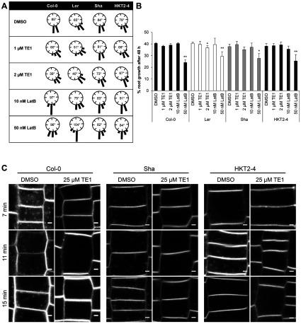 https://cdn.ncbi.nlm.nih.gov/pmc/blobs/5465/4100570/40ebb67f8f75/bj2013-1136i005.jpg