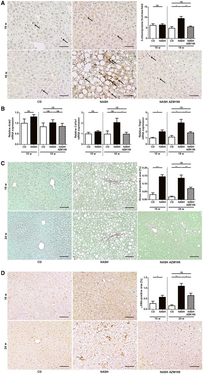 https://cdn.ncbi.nlm.nih.gov/pmc/blobs/5465/7527691/27bec638590d/HEP4-4-1441-g007.jpg