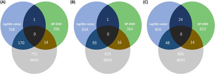 https://cdn.ncbi.nlm.nih.gov/pmc/blobs/5467/10781757/bacbb21fd74f/41598_2023_51039_Fig2_HTML.jpg