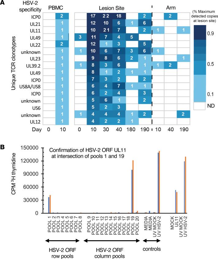 https://cdn.ncbi.nlm.nih.gov/pmc/blobs/5467/11383358/db32150d0805/jciinsight-9-179010-g155.jpg