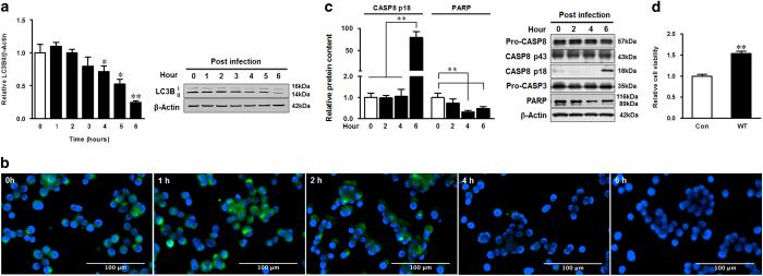 https://cdn.ncbi.nlm.nih.gov/pmc/blobs/5467/5624281/4456ffeb7e2f/cddiscovery201755-f1.jpg