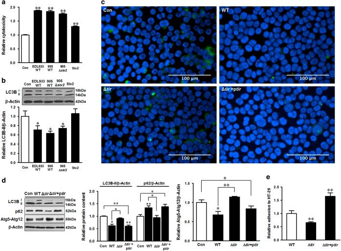 https://cdn.ncbi.nlm.nih.gov/pmc/blobs/5467/5624281/b35c64418616/cddiscovery201755-f4.jpg