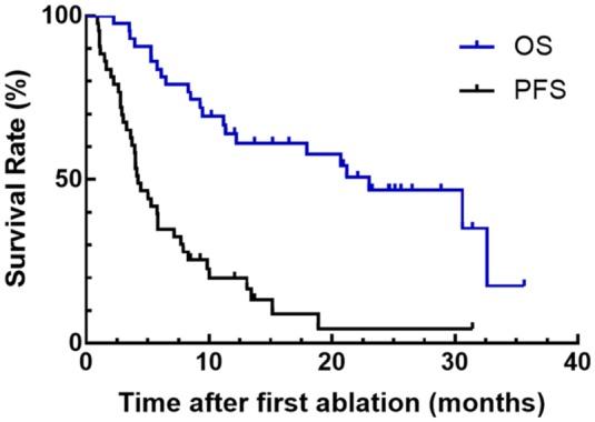 https://cdn.ncbi.nlm.nih.gov/pmc/blobs/5468/6709441/805c4d3d35a2/10.1177_1756284819862966-fig4.jpg