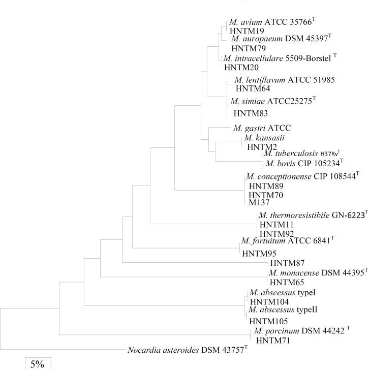 https://cdn.ncbi.nlm.nih.gov/pmc/blobs/5469/3586870/fbf48891b593/IJBMS-15-661-g001.jpg