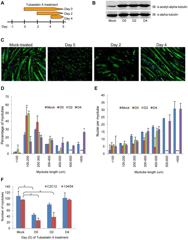 https://cdn.ncbi.nlm.nih.gov/pmc/blobs/546c/3234273/660326da54d5/pone.0028563.g007.jpg