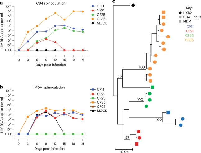 https://cdn.ncbi.nlm.nih.gov/pmc/blobs/546d/10159852/d2c9f408c953/41564_2023_1349_Fig4_HTML.jpg