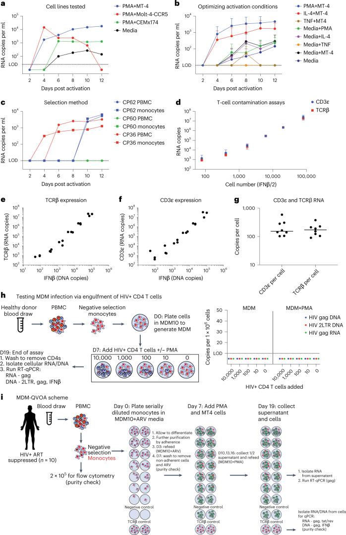 https://cdn.ncbi.nlm.nih.gov/pmc/blobs/546d/10159852/d4e0f9921797/41564_2023_1349_Fig1_HTML.jpg