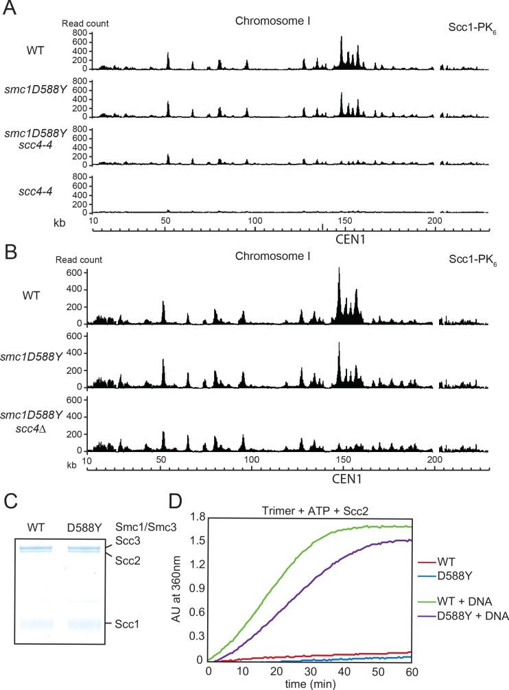 https://cdn.ncbi.nlm.nih.gov/pmc/blobs/546d/8279761/796469199702/elife-67268-fig2-figsupp1.jpg