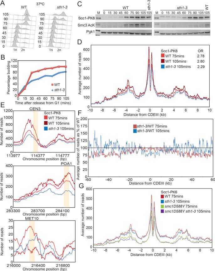 https://cdn.ncbi.nlm.nih.gov/pmc/blobs/546d/8279761/b7f1bd2e4baa/elife-67268-fig3-figsupp1.jpg