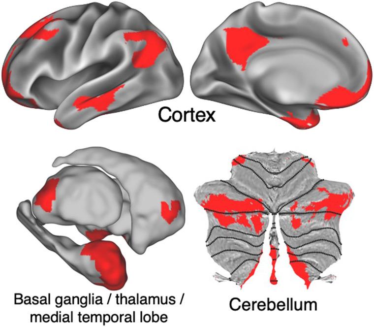https://cdn.ncbi.nlm.nih.gov/pmc/blobs/546f/10473266/67db84d46b2e/netn-7-3-864-g006.jpg