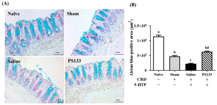 https://cdn.ncbi.nlm.nih.gov/pmc/blobs/5470/11942017/6e2185007a21/ijms-26-02464-g003.jpg