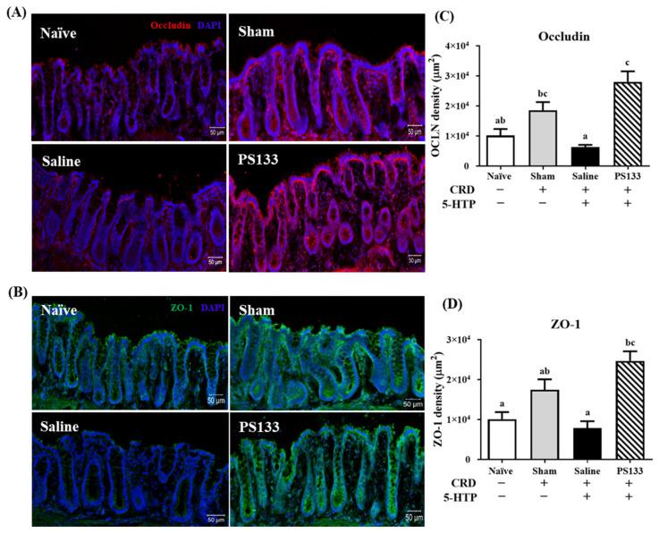 https://cdn.ncbi.nlm.nih.gov/pmc/blobs/5470/11942017/98a9096b2ae2/ijms-26-02464-g004.jpg