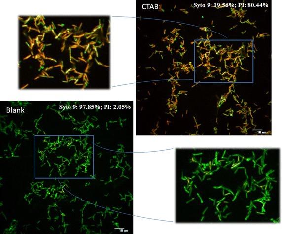 https://cdn.ncbi.nlm.nih.gov/pmc/blobs/5471/4633473/b546f1161455/40064_2015_1476_Fig4_HTML.jpg
