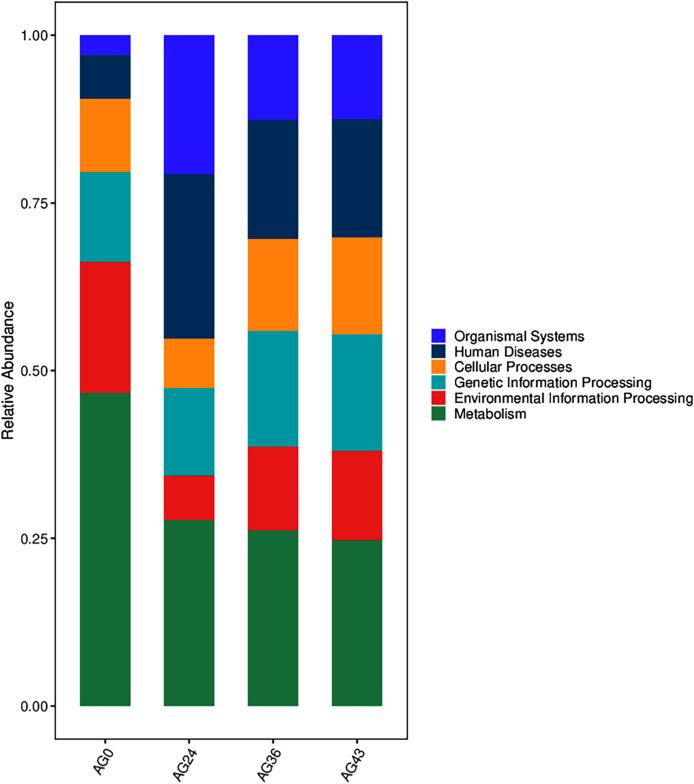 https://cdn.ncbi.nlm.nih.gov/pmc/blobs/5472/11787802/7da902bcd517/peerj-13-18826-g009.jpg