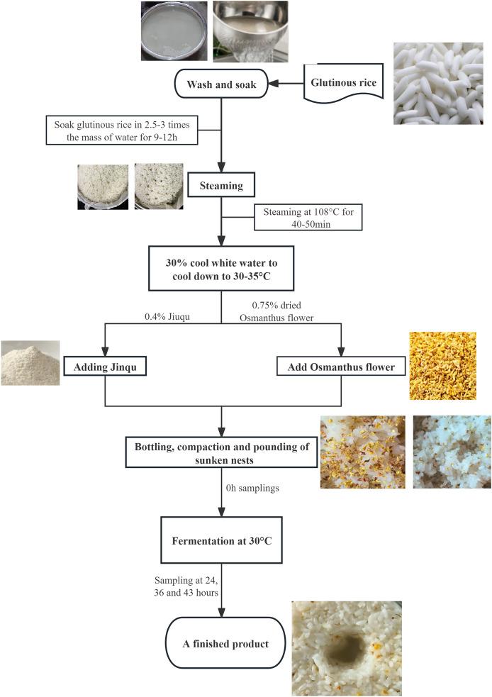 https://cdn.ncbi.nlm.nih.gov/pmc/blobs/5472/11787802/bfad12aa20e2/peerj-13-18826-g001.jpg