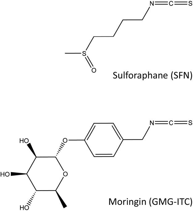 https://cdn.ncbi.nlm.nih.gov/pmc/blobs/5472/4909285/331084309897/pone.0157430.g001.jpg