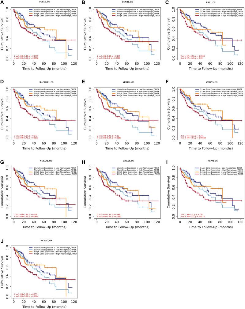 https://cdn.ncbi.nlm.nih.gov/pmc/blobs/5474/7831279/b74ac019ac90/fgene-11-575762-g008.jpg