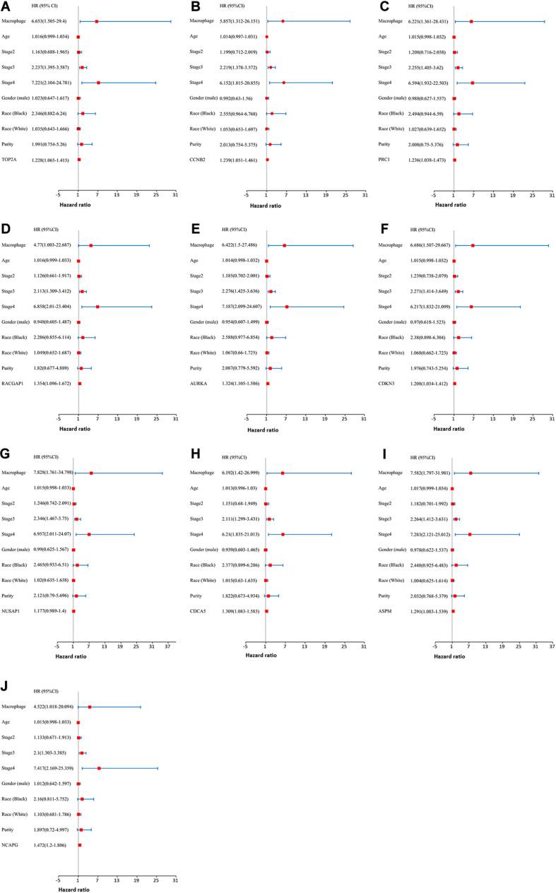 https://cdn.ncbi.nlm.nih.gov/pmc/blobs/5474/7831279/dba64fa4396c/fgene-11-575762-g009.jpg