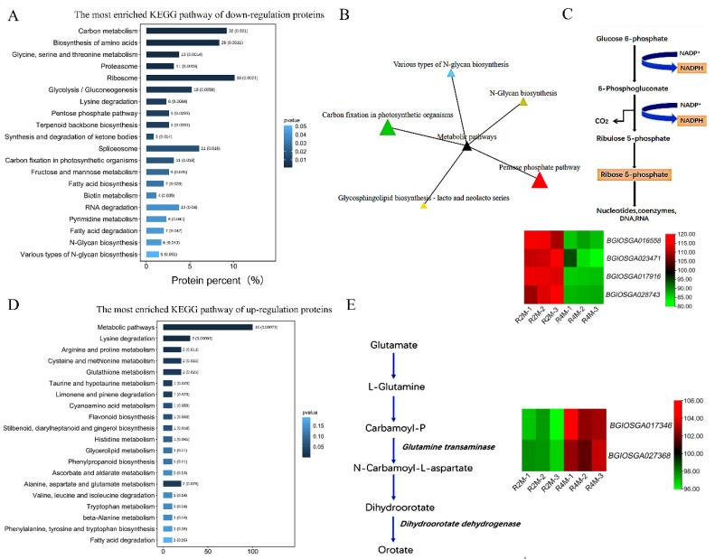 https://cdn.ncbi.nlm.nih.gov/pmc/blobs/5476/9268837/0420b62dde4d/plants-11-01647-g006.jpg