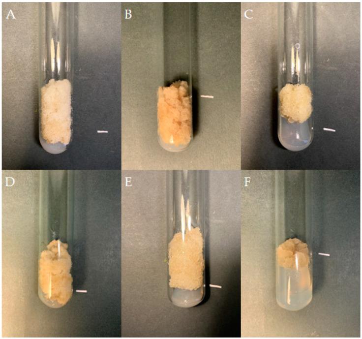 https://cdn.ncbi.nlm.nih.gov/pmc/blobs/5478/11173501/e94a5495b433/molecules-29-02626-g005.jpg