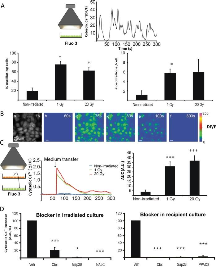 https://cdn.ncbi.nlm.nih.gov/pmc/blobs/5478/7080808/e62acc15dab5/41419_2020_2392_Fig4_HTML.jpg