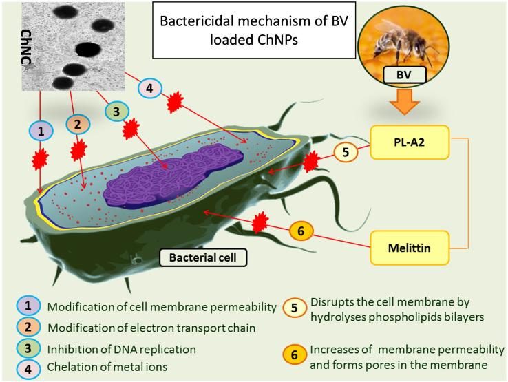 https://cdn.ncbi.nlm.nih.gov/pmc/blobs/5478/9595425/cc10c2388c64/gr10_lrg.jpg