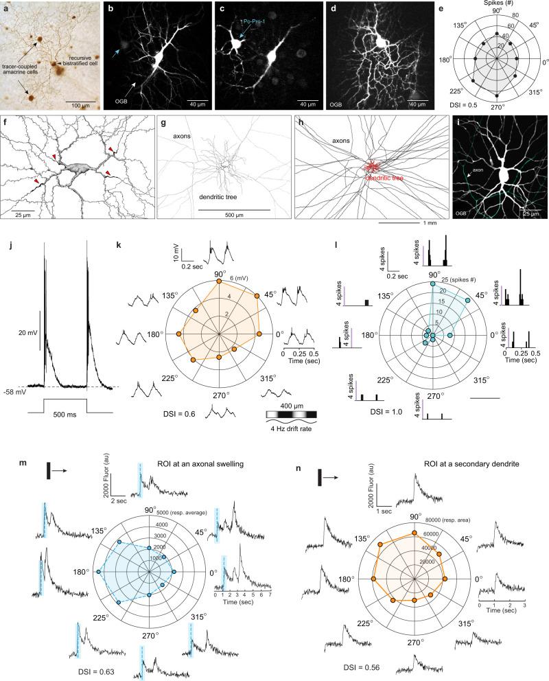 https://cdn.ncbi.nlm.nih.gov/pmc/blobs/5479/9126974/18547c7a1b0b/41467_2022_30405_Fig4_HTML.jpg