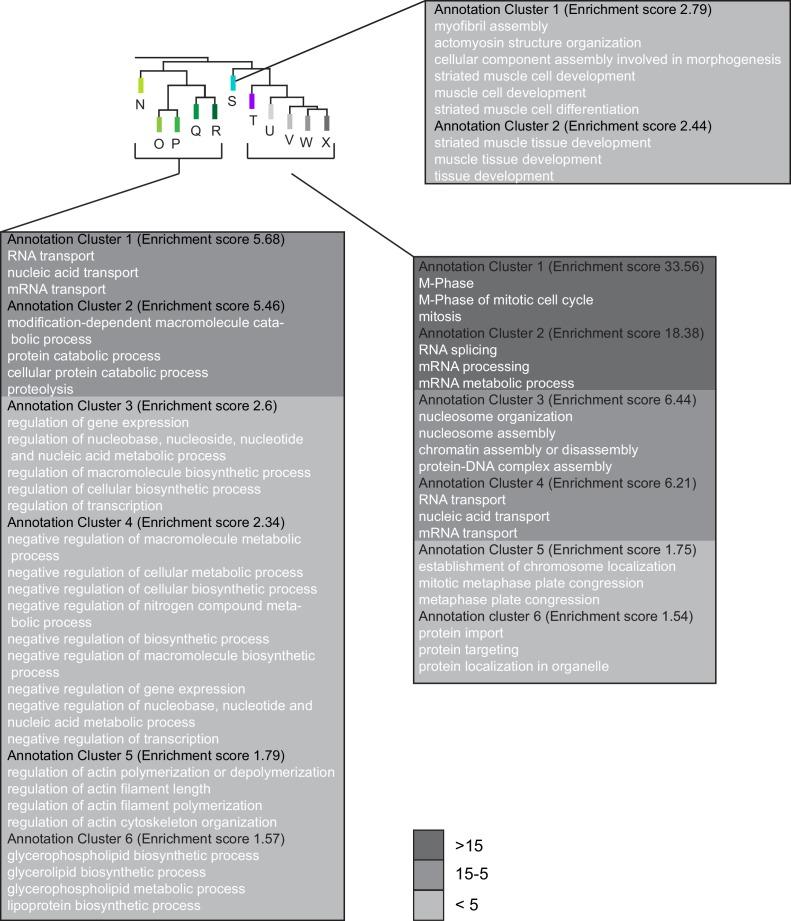 https://cdn.ncbi.nlm.nih.gov/pmc/blobs/547a/5419740/5f3486e2d1d2/elife-24712-fig3-figsupp2.jpg
