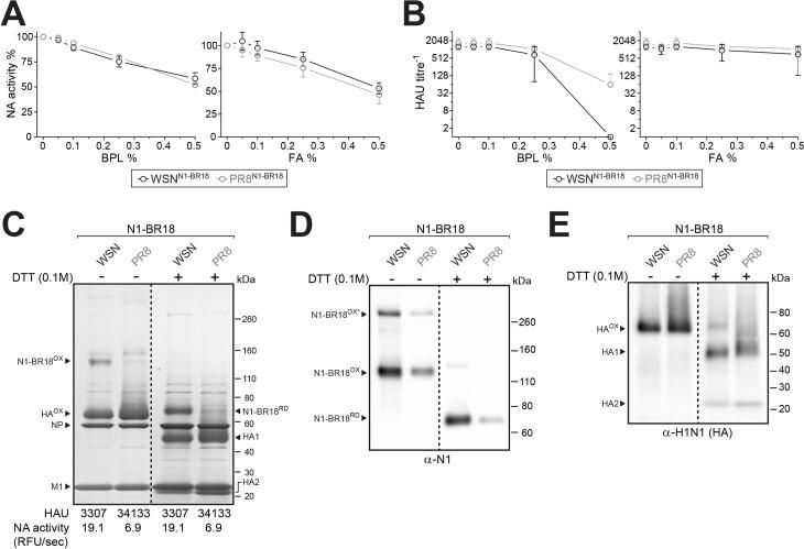 https://cdn.ncbi.nlm.nih.gov/pmc/blobs/547a/8084346/908cc4cd0b12/ppat.1009171.g002.jpg