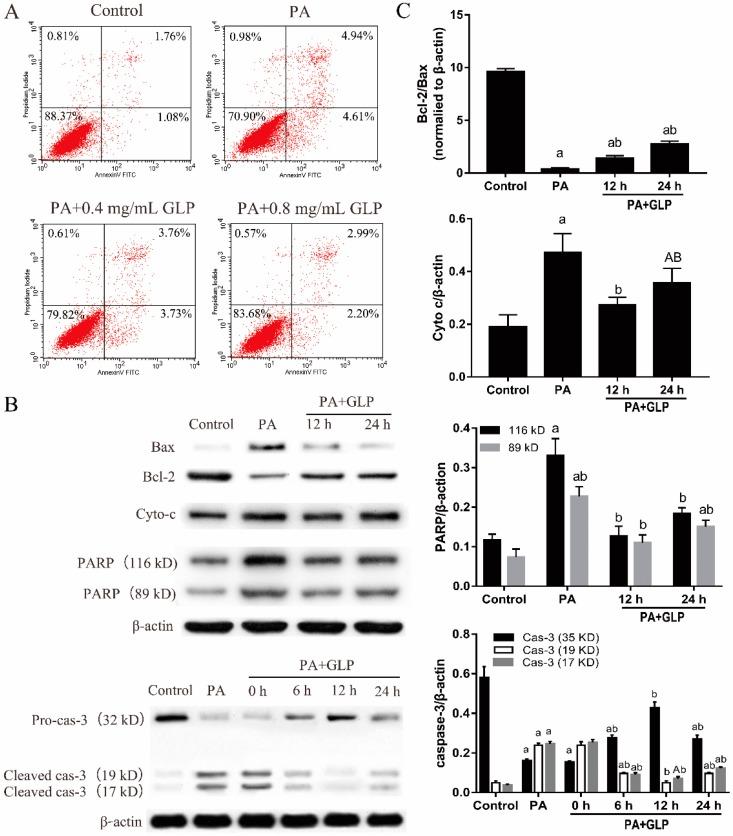 https://cdn.ncbi.nlm.nih.gov/pmc/blobs/547c/6387170/5cdaad06f213/ijms-20-00478-g003.jpg