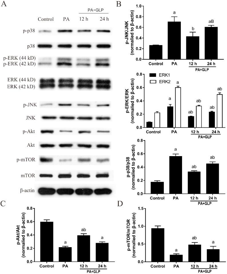 https://cdn.ncbi.nlm.nih.gov/pmc/blobs/547c/6387170/6d9869ef5ac1/ijms-20-00478-g006.jpg