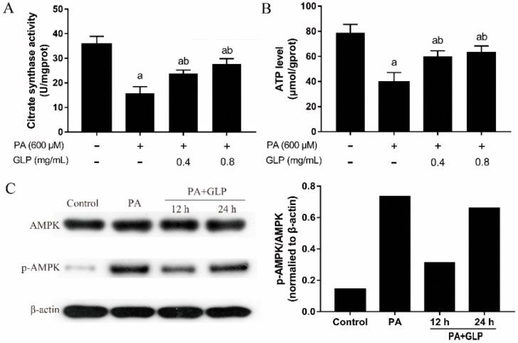 https://cdn.ncbi.nlm.nih.gov/pmc/blobs/547c/6387170/8a8453f4e194/ijms-20-00478-g004.jpg