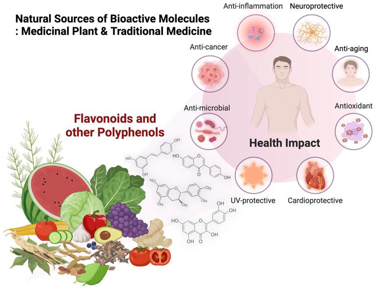 https://cdn.ncbi.nlm.nih.gov/pmc/blobs/547f/11643739/ab78fb1dae2f/molecules-29-05760-g003.jpg