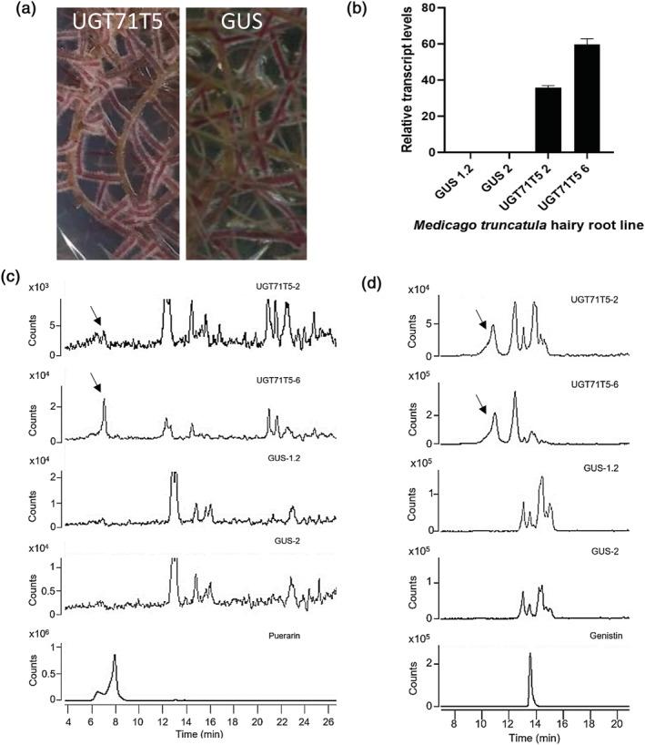https://cdn.ncbi.nlm.nih.gov/pmc/blobs/547f/9438399/ae02b750aa68/PLD3-6-e442-g007.jpg