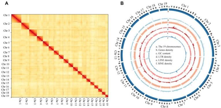 https://cdn.ncbi.nlm.nih.gov/pmc/blobs/5480/10764150/5246ecf144a8/giad107fig2.jpg
