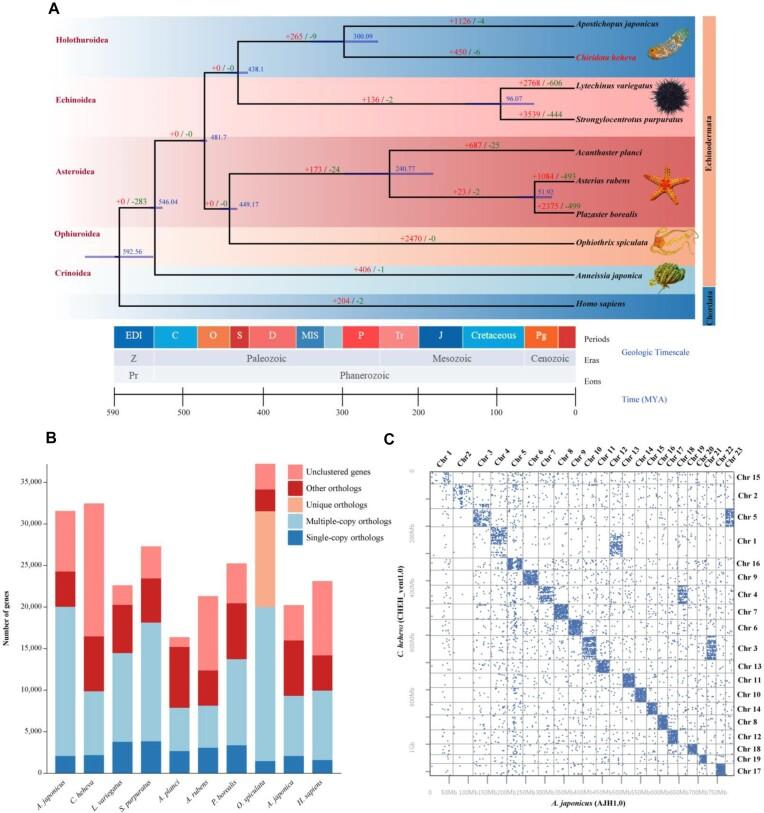 https://cdn.ncbi.nlm.nih.gov/pmc/blobs/5480/10764150/5aa17e8fb235/giad107fig3.jpg
