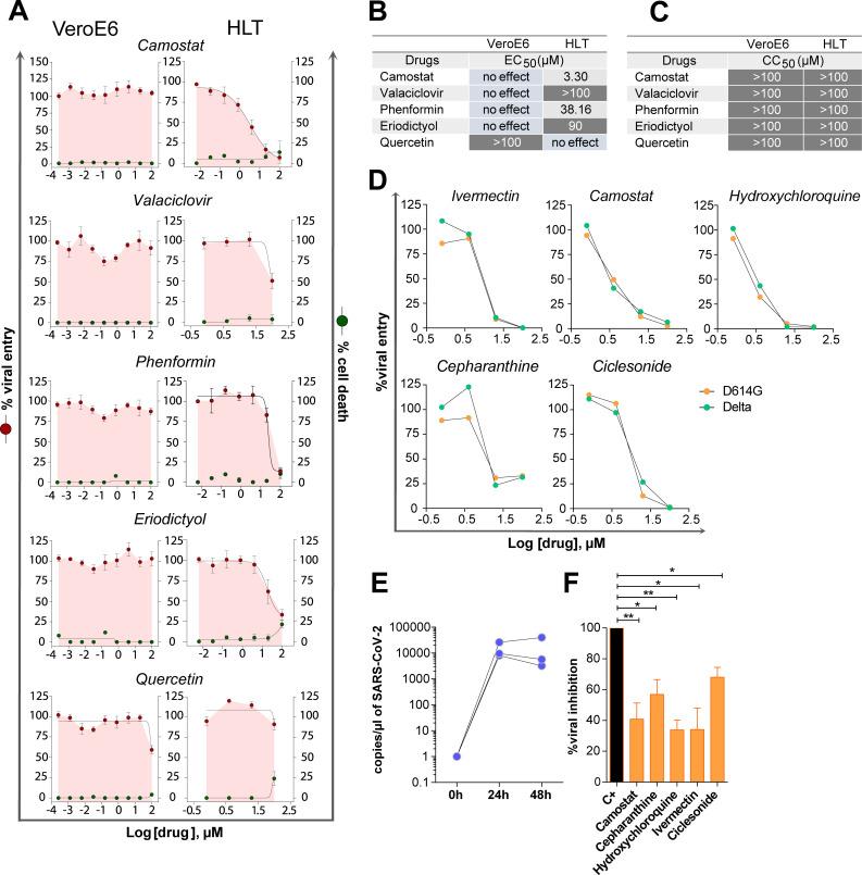 https://cdn.ncbi.nlm.nih.gov/pmc/blobs/5480/8791477/41773647ec51/ppat.1010171.g004.jpg