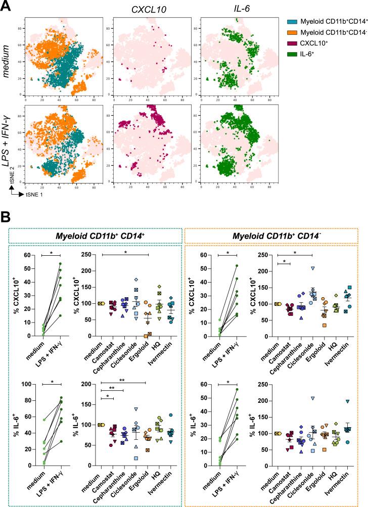 https://cdn.ncbi.nlm.nih.gov/pmc/blobs/5480/8791477/f0b600138546/ppat.1010171.g006.jpg