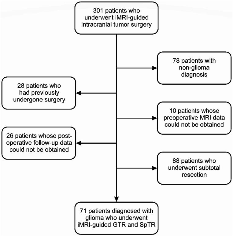 https://cdn.ncbi.nlm.nih.gov/pmc/blobs/5484/11799004/8a417636388b/10143_2025_3301_Fig1_HTML.jpg