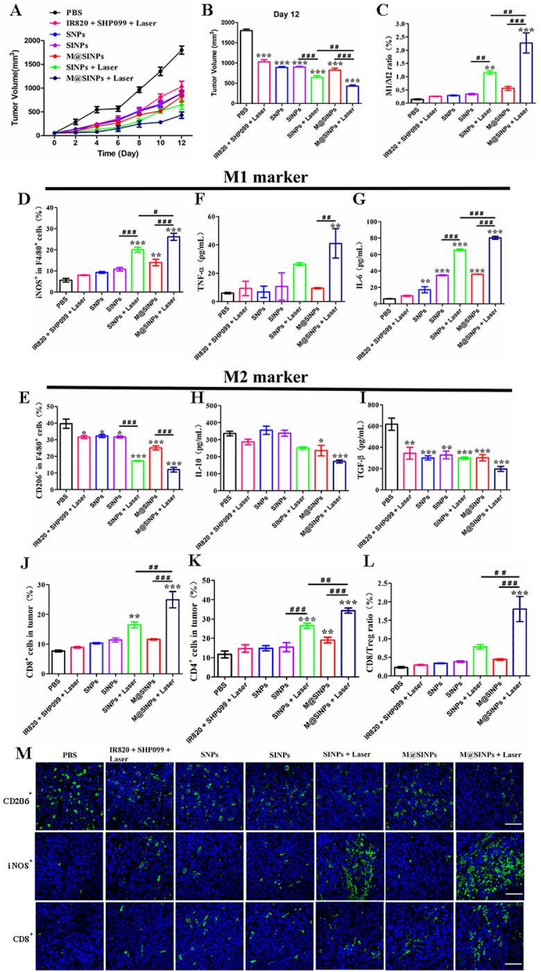 https://cdn.ncbi.nlm.nih.gov/pmc/blobs/5485/11184870/55346de26817/12951_2024_2622_Fig4_HTML.jpg