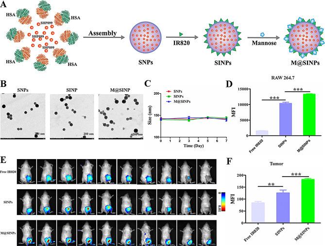 https://cdn.ncbi.nlm.nih.gov/pmc/blobs/5485/11184870/b8555c474ad0/12951_2024_2622_Fig1_HTML.jpg
