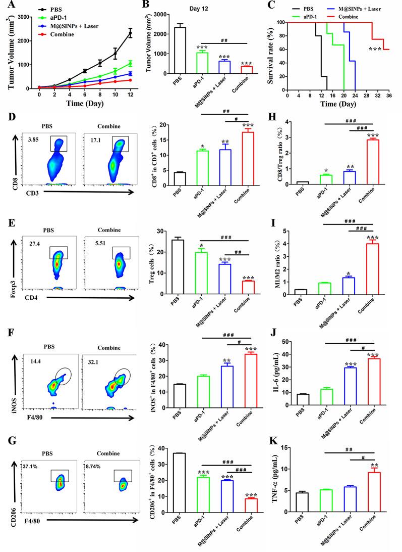 https://cdn.ncbi.nlm.nih.gov/pmc/blobs/5485/11184870/cc887a329cc2/12951_2024_2622_Fig5_HTML.jpg