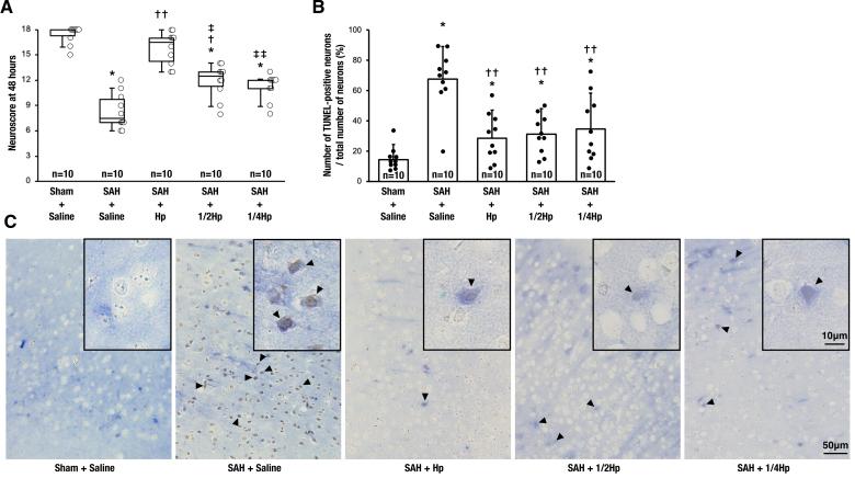 https://cdn.ncbi.nlm.nih.gov/pmc/blobs/5485/11593995/07c5721a9613/str-55-2885-g004.jpg