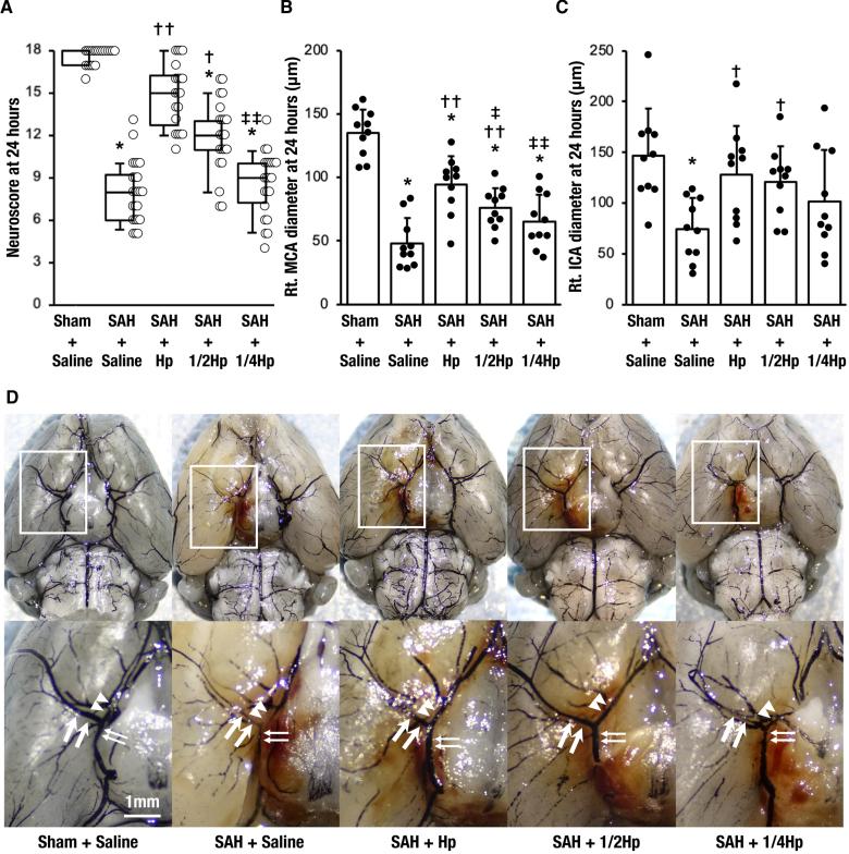 https://cdn.ncbi.nlm.nih.gov/pmc/blobs/5485/11593995/554ebeb53587/str-55-2885-g003.jpg