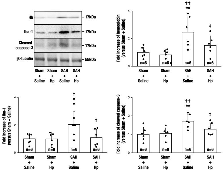 https://cdn.ncbi.nlm.nih.gov/pmc/blobs/5485/11593995/797226ab8904/str-55-2885-g002.jpg