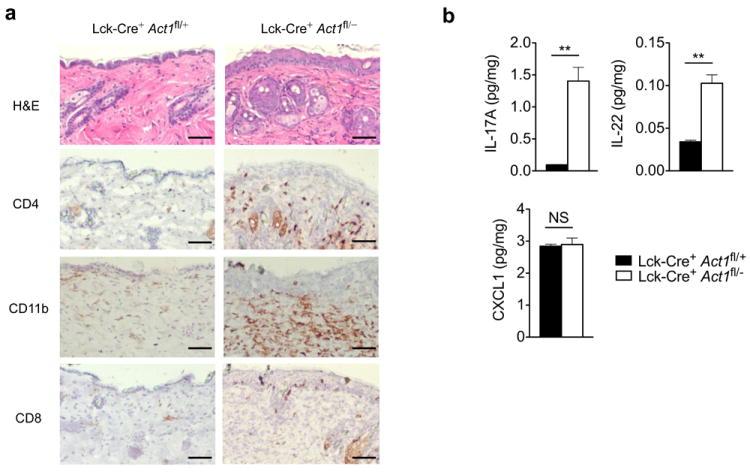 https://cdn.ncbi.nlm.nih.gov/pmc/blobs/5485/3522792/1a57193672e2/nihms417627f8a.jpg